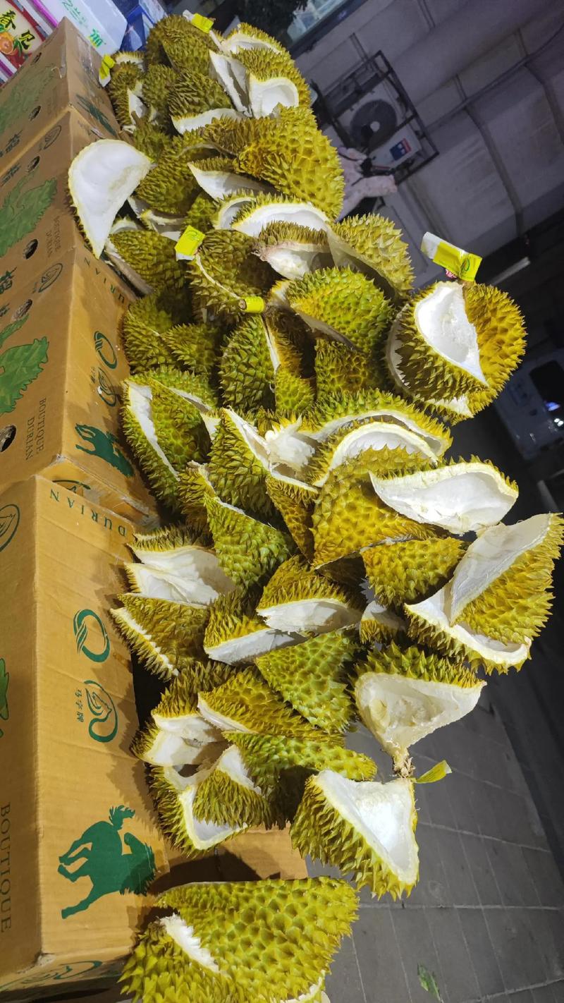 果趣营